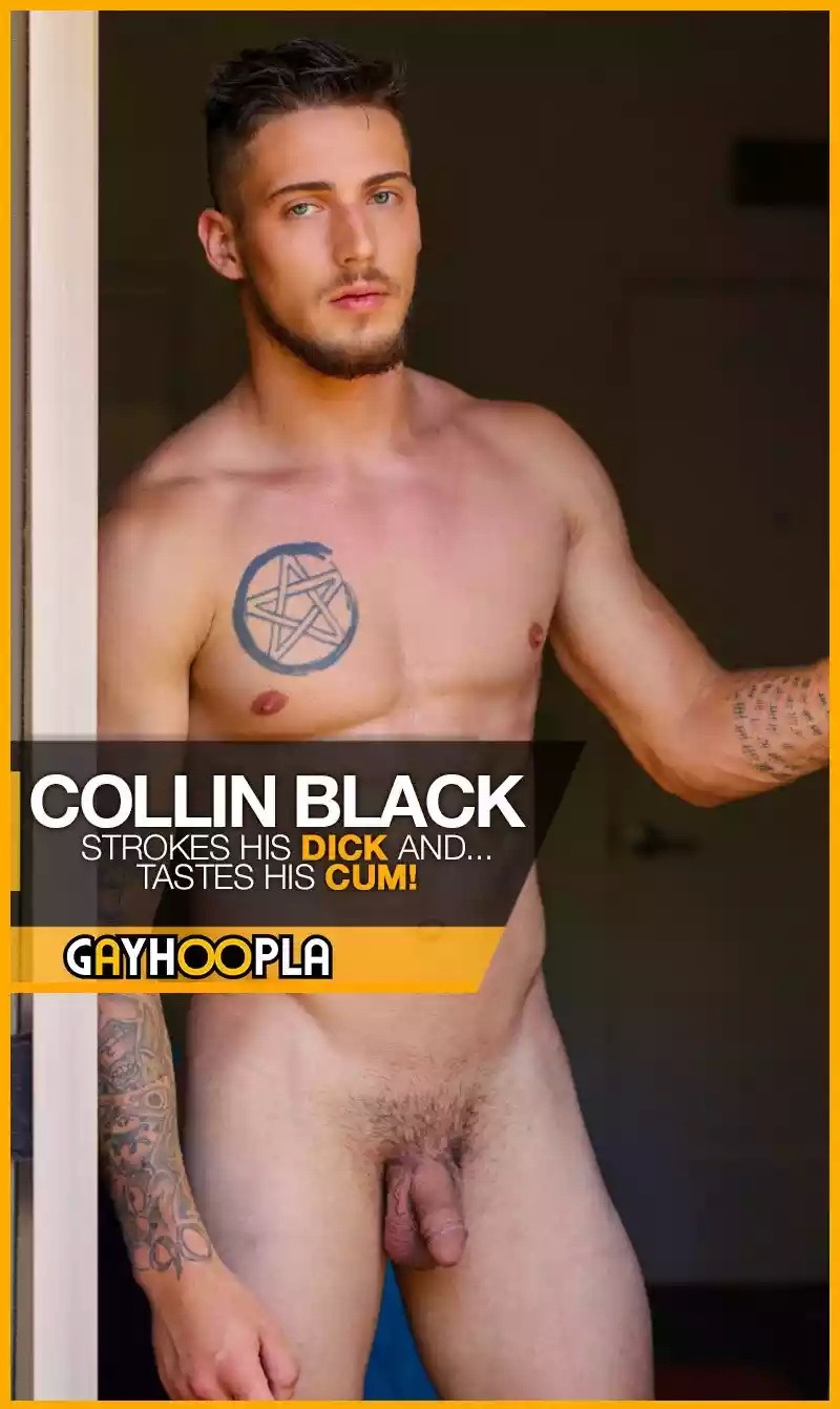 Collin black gayhoopla