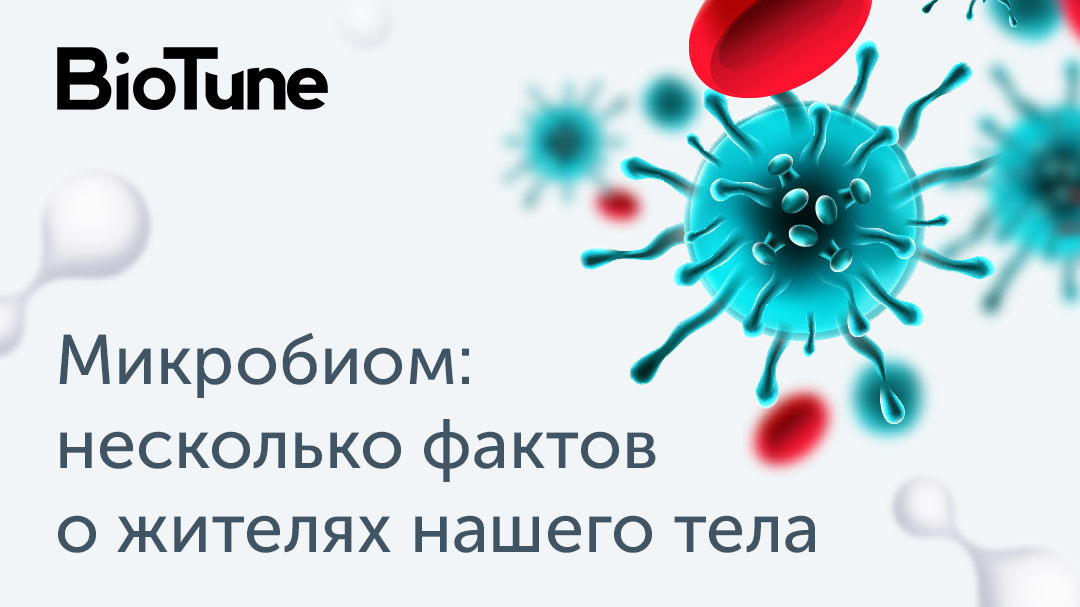 Анализ на микробиом. Микробиом почвы.