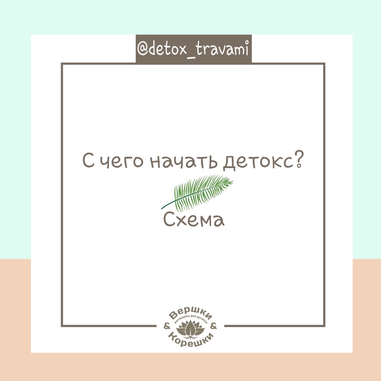 Детокс схема. Детокс схема приема. Detox схема приема. Дофаминовый детокс схема.