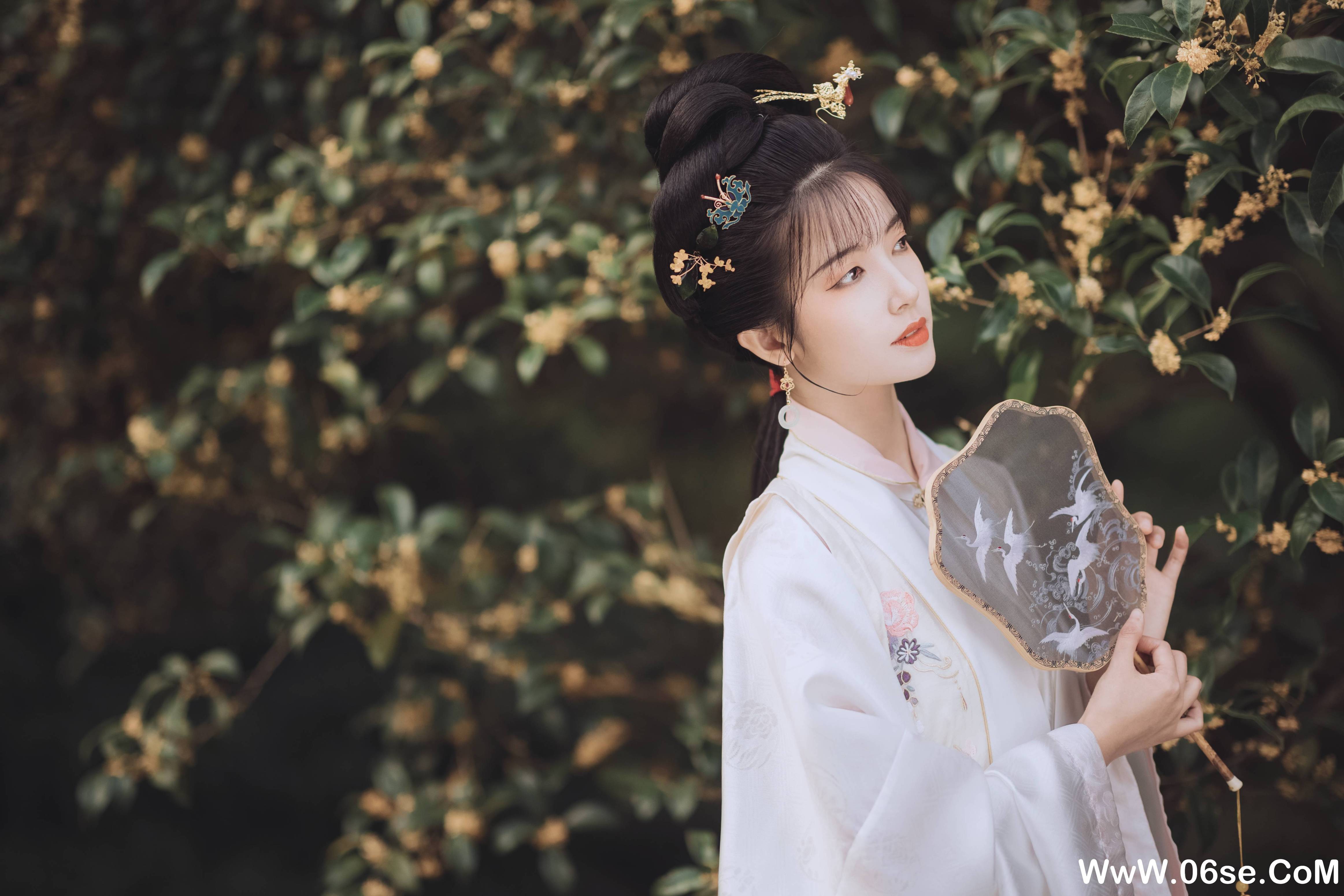 图片[11]-[YITUYU艺图语]2021.11.22 桂花酿 一只阿梦崽[35+1P／307MB]-六色网
