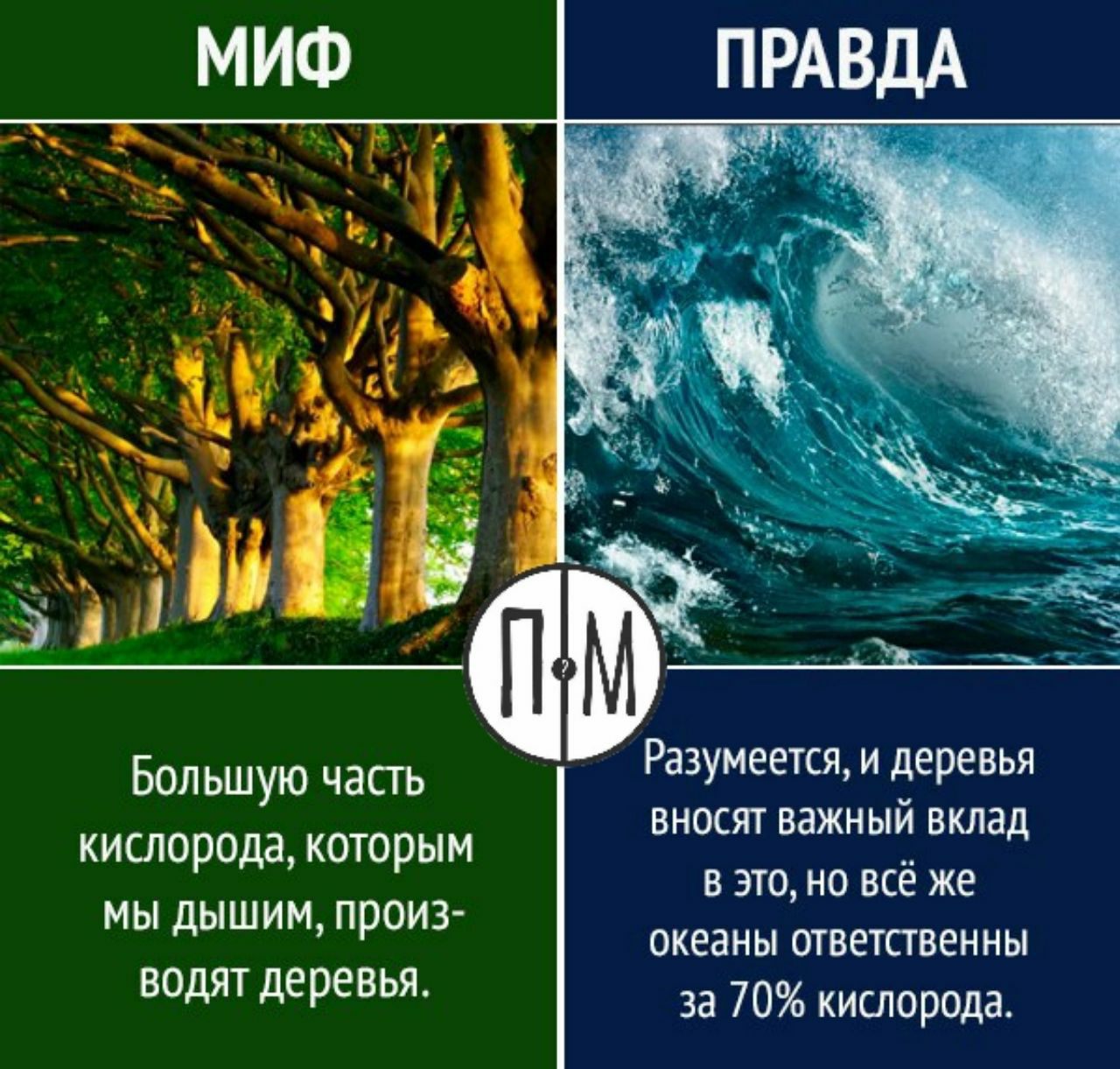 Правда против. Экологические мифы. Правда или миф природа. Миф vs правда. Миф против правды.