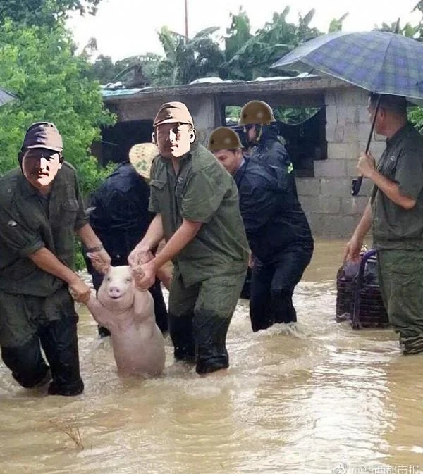 https://telegra.ph/file/e0c643a52d7b63b97e87a.jpg