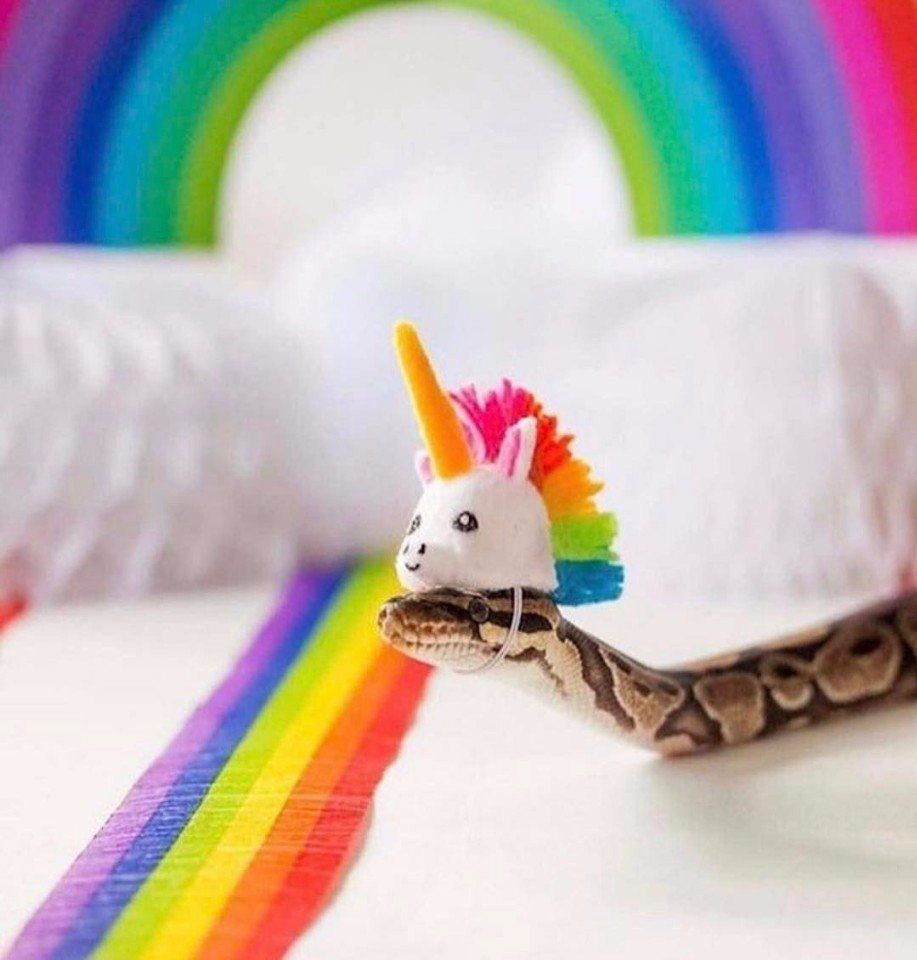 Маскировка: накрутка кликов – Telegraph