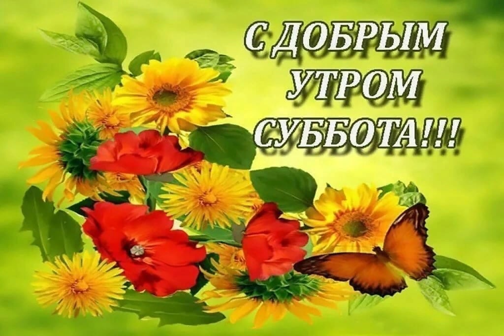 Суббота Есть Суббота Фото