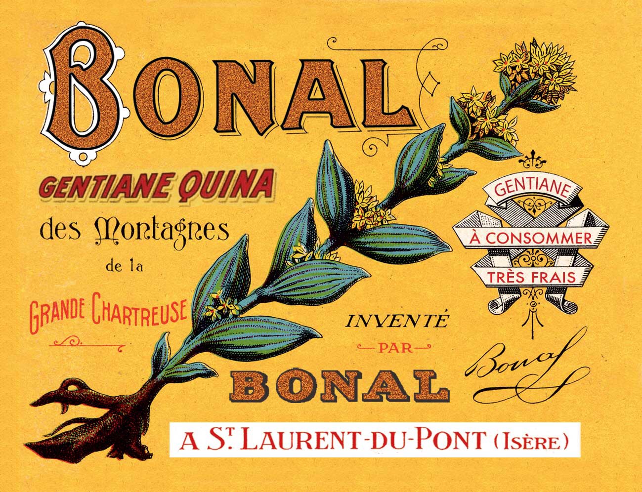 Бонал. "Bonal" аперитив. Bonal ликер. Луговой аперитив. Quina.