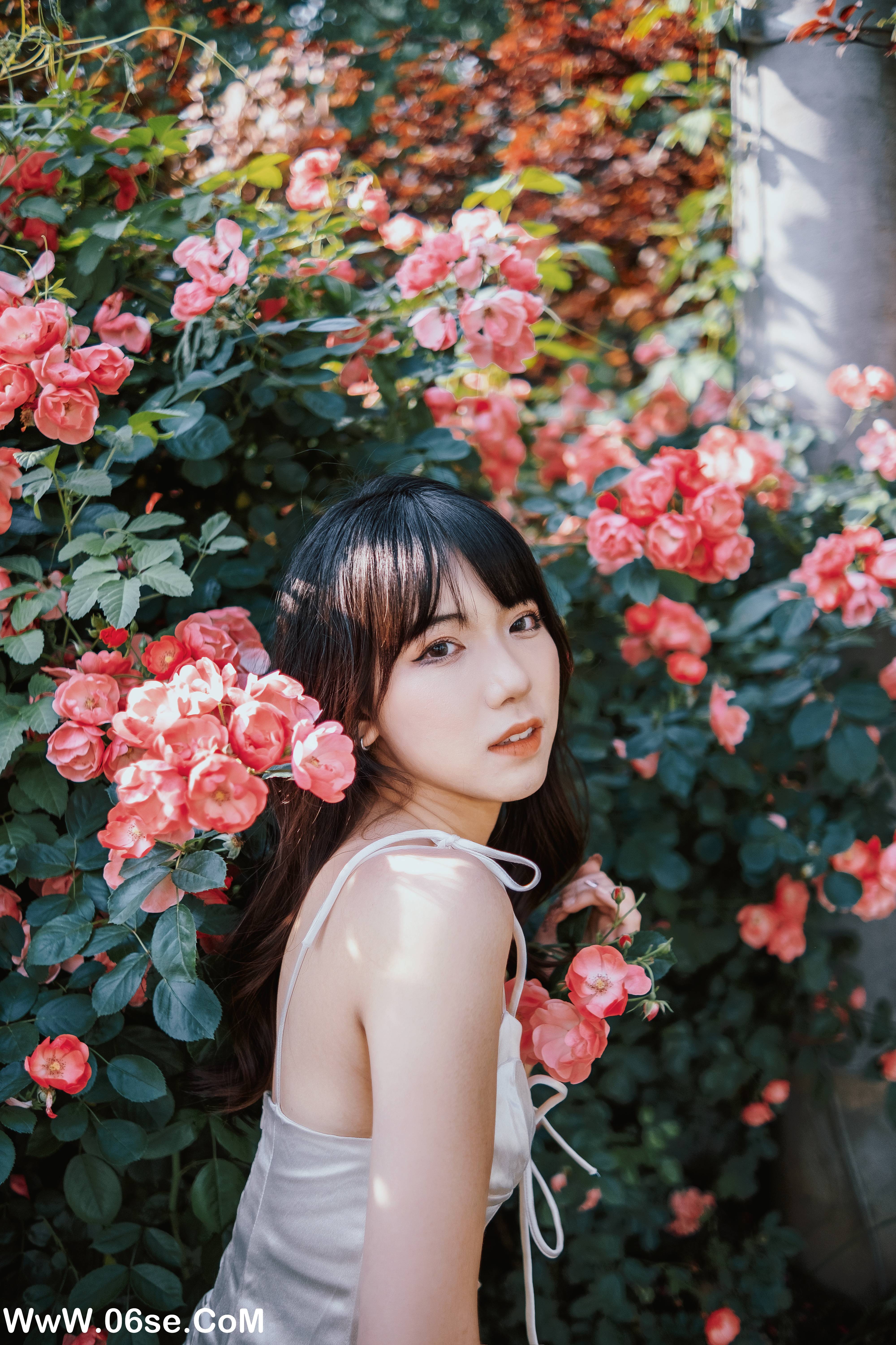 图片[4]-[YITUYU艺图语]2022.06.10 蔷薇花下 依依[25P-398.67MB]-六色网