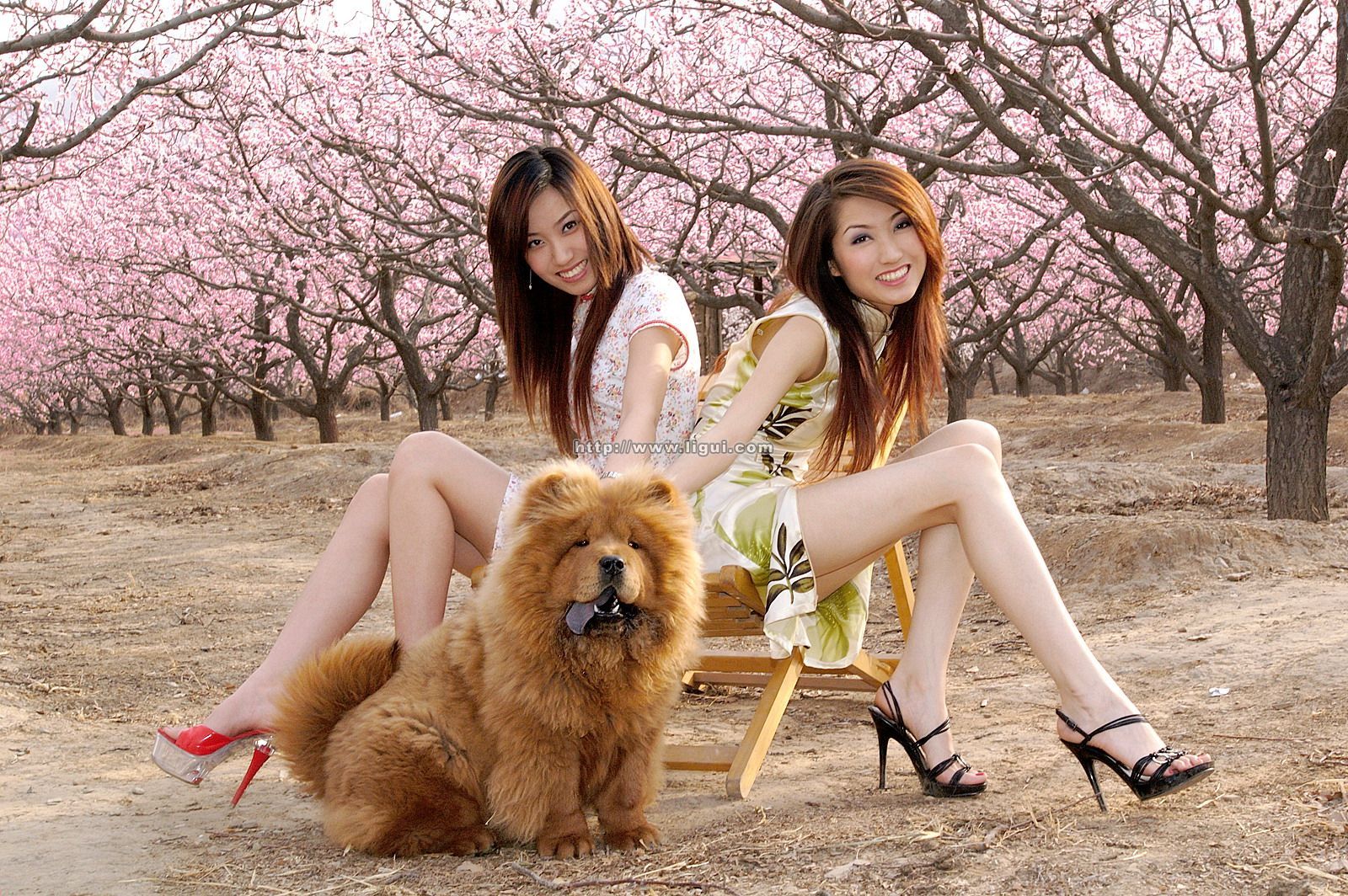 [Image: e1f59690a730e76b4cc9d.jpg]