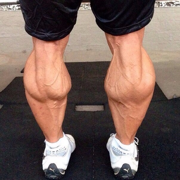 Сводит икры ног у мужчин. Икроножная мышца. Накаченные икроножные мышцы. Огромные икры. Самые большие икроножные мышцы.
