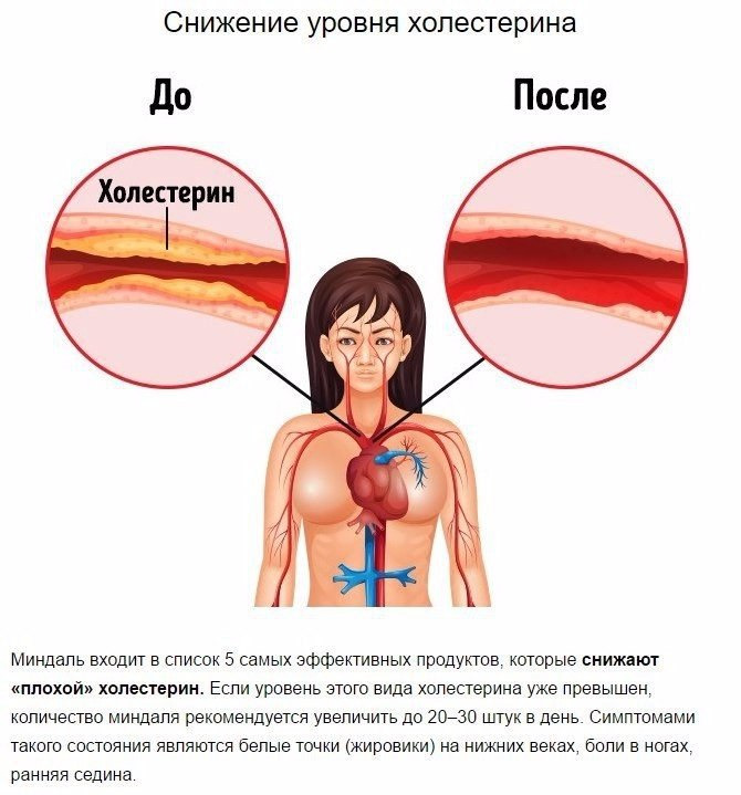 Глотать Или Не Глотать Сперму