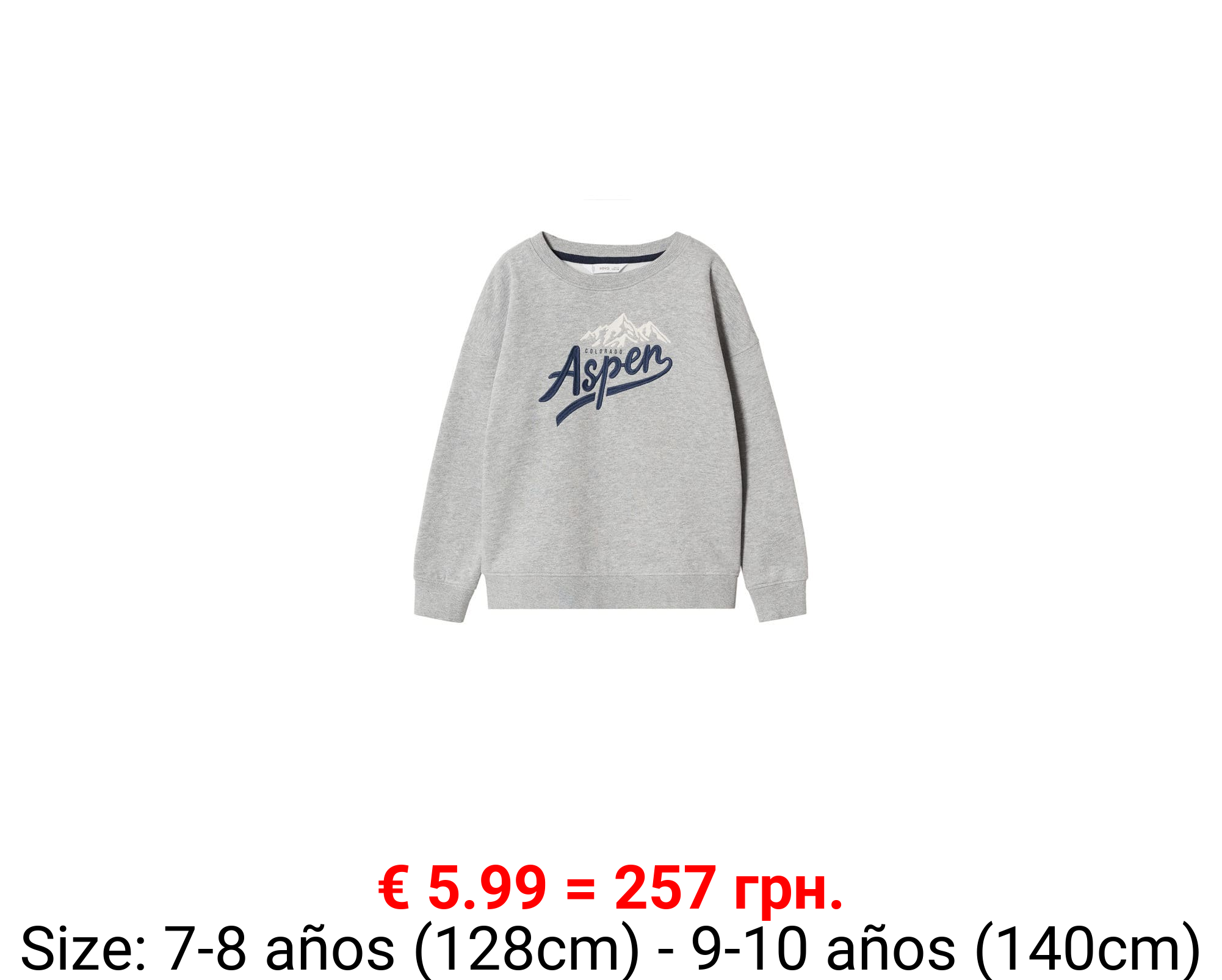 Sudadera estampado bordado