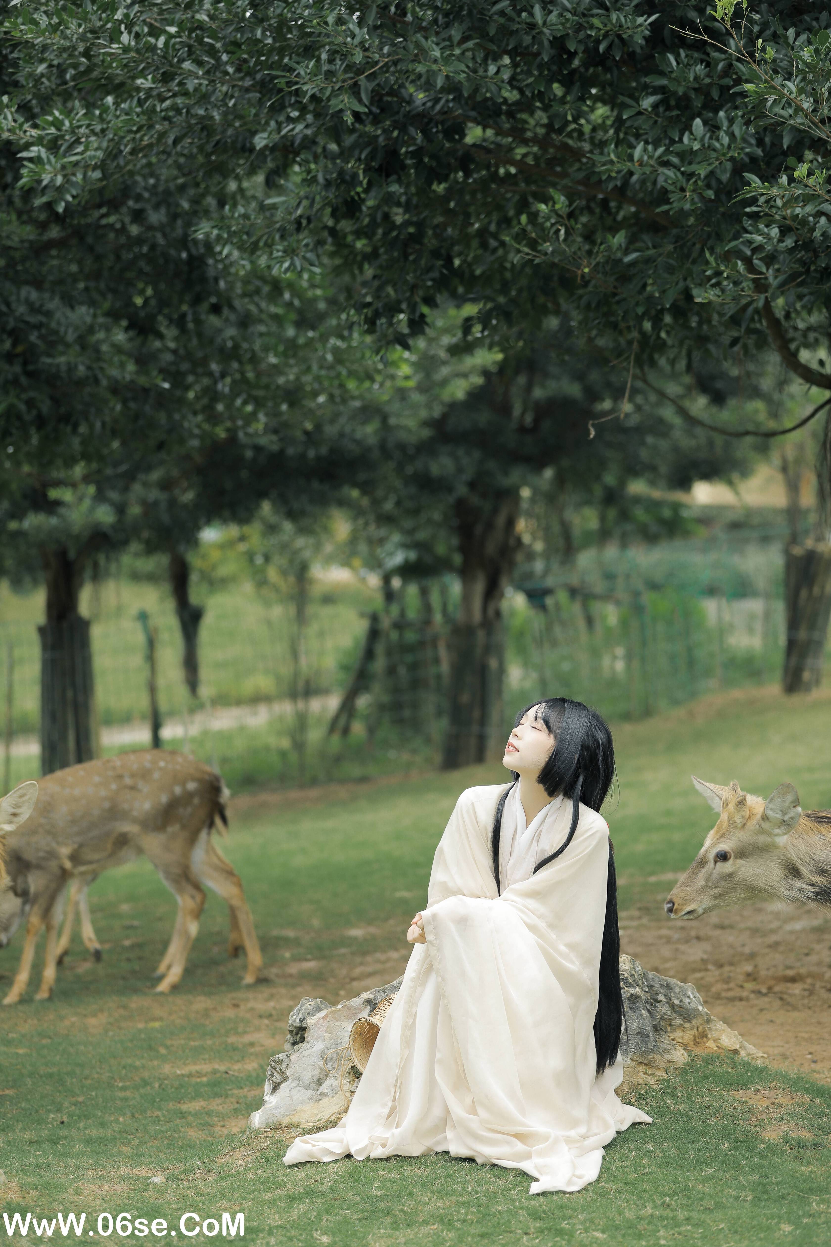 图片[5]-[YITUYU艺图语]2022.05.28 鹿鸣 槐枝-[27P-362.11MB]-六色网