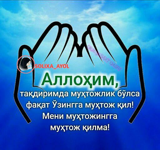 Мени Куним
