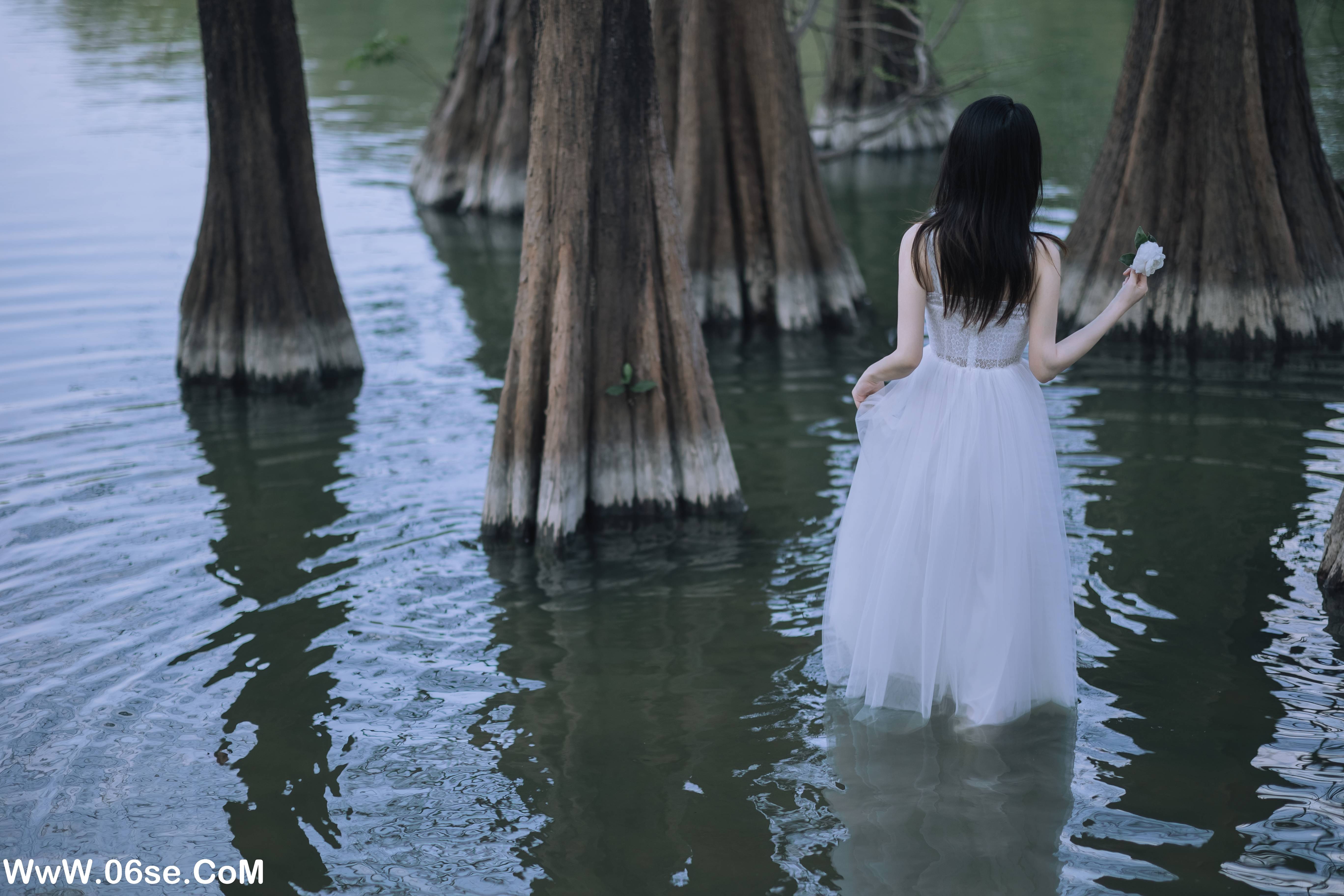 图片[16]-[YITUYU艺图语]2022.07.11 水生植物 航子就是航子呀[23+1P／167MB]-六色网