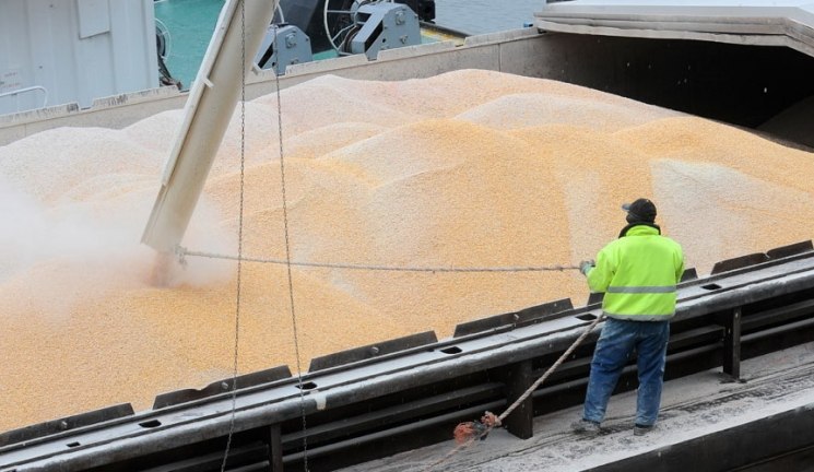 Экспорт российского зерна в 2020 году может увеличиться до 48 млн тонн