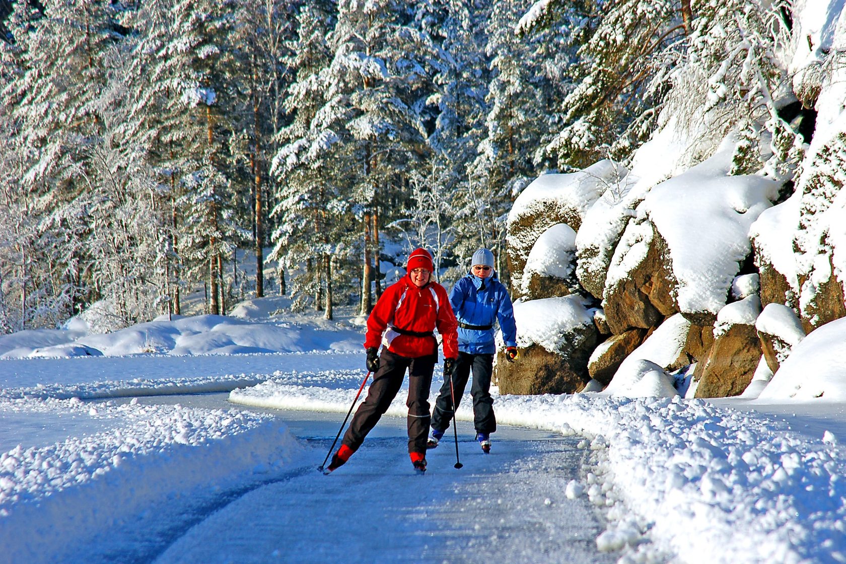 Forest ski. Прогулка в зимнем лесу. Катание на лыжах в лесу. Лыжная прогулка в лесу. Зимний поход.