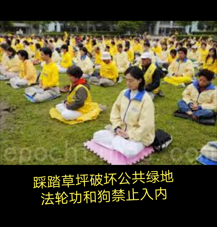 https://telegra.ph/file/e3e600205892bec3f33ef.png