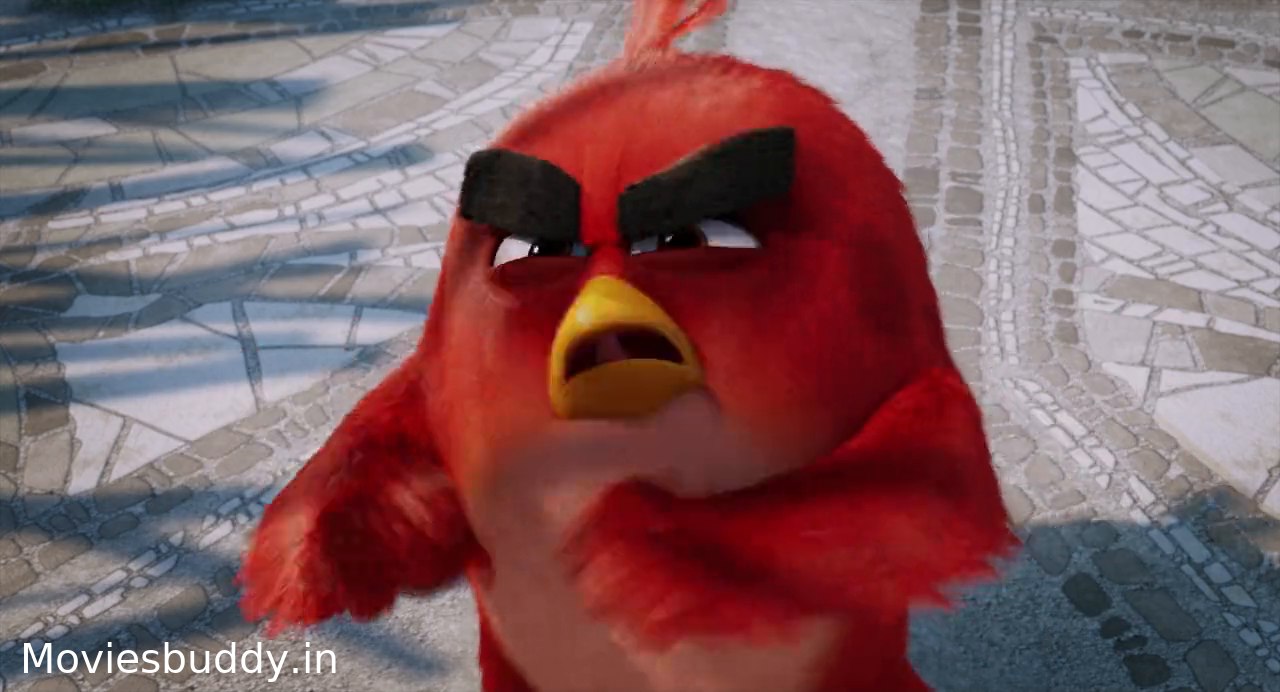 Video Screenshot of The Angry Birds Movie