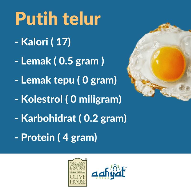 Ketahui Nutrisi Yang Terdapat Pada Sebiji Telur Telegraph