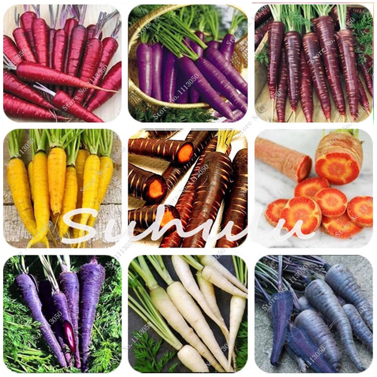 Морковь разноцветная семена