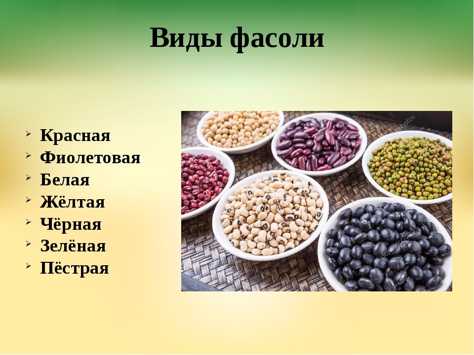 Фасоль названия. Виды фасоли. Какая бывает фасоль. Фасоль виды и сорта. Сорта фасоли.