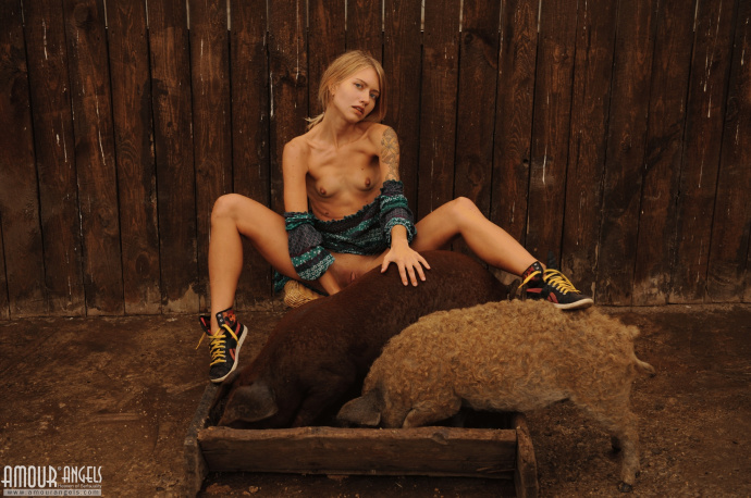 [Image: e46c6dd8e36d88f59d2a1.jpg]