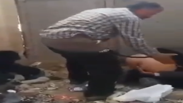 Viejitos dándose cariño