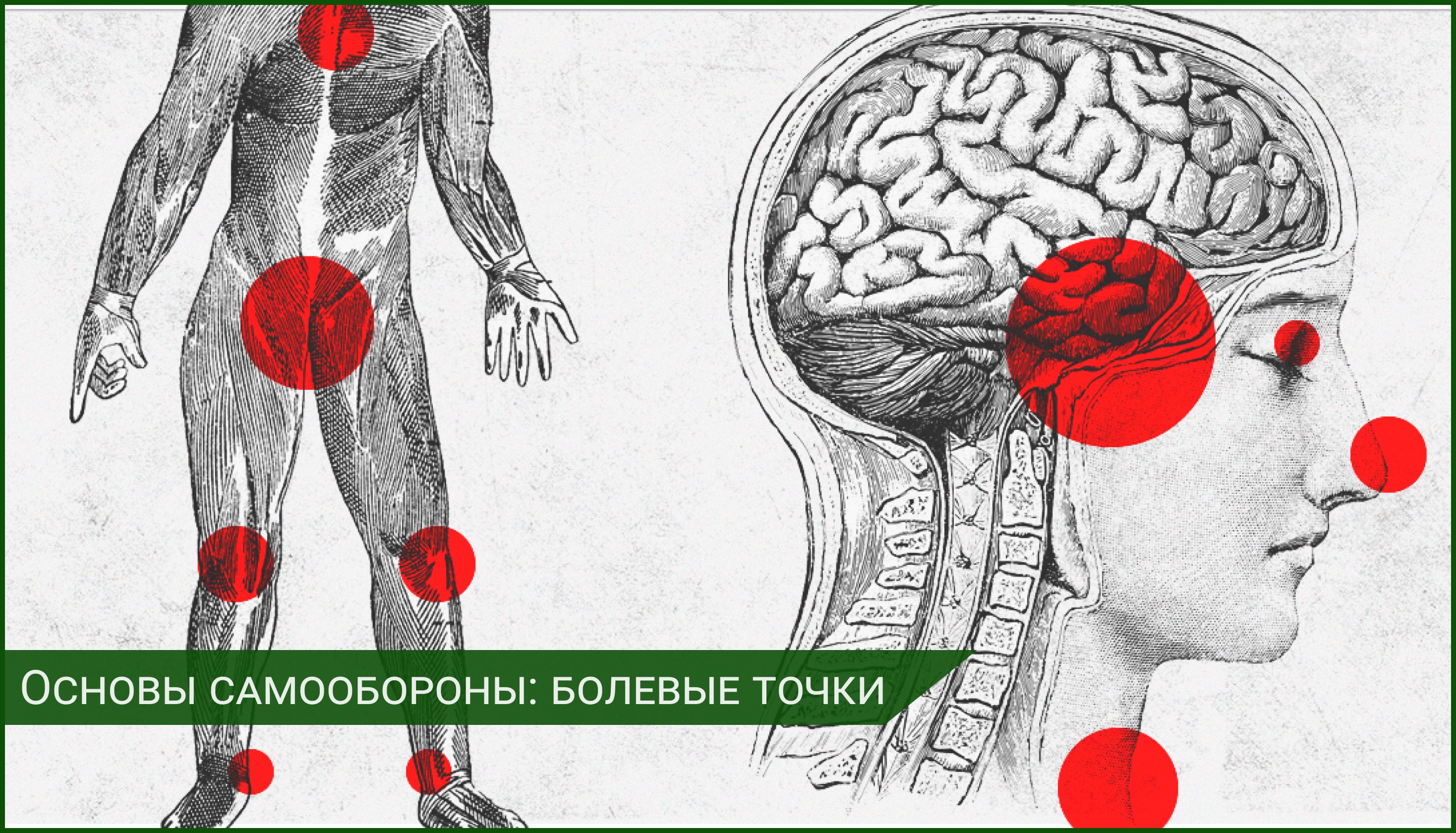 13 болевых точек на теле противника. – Telegraph