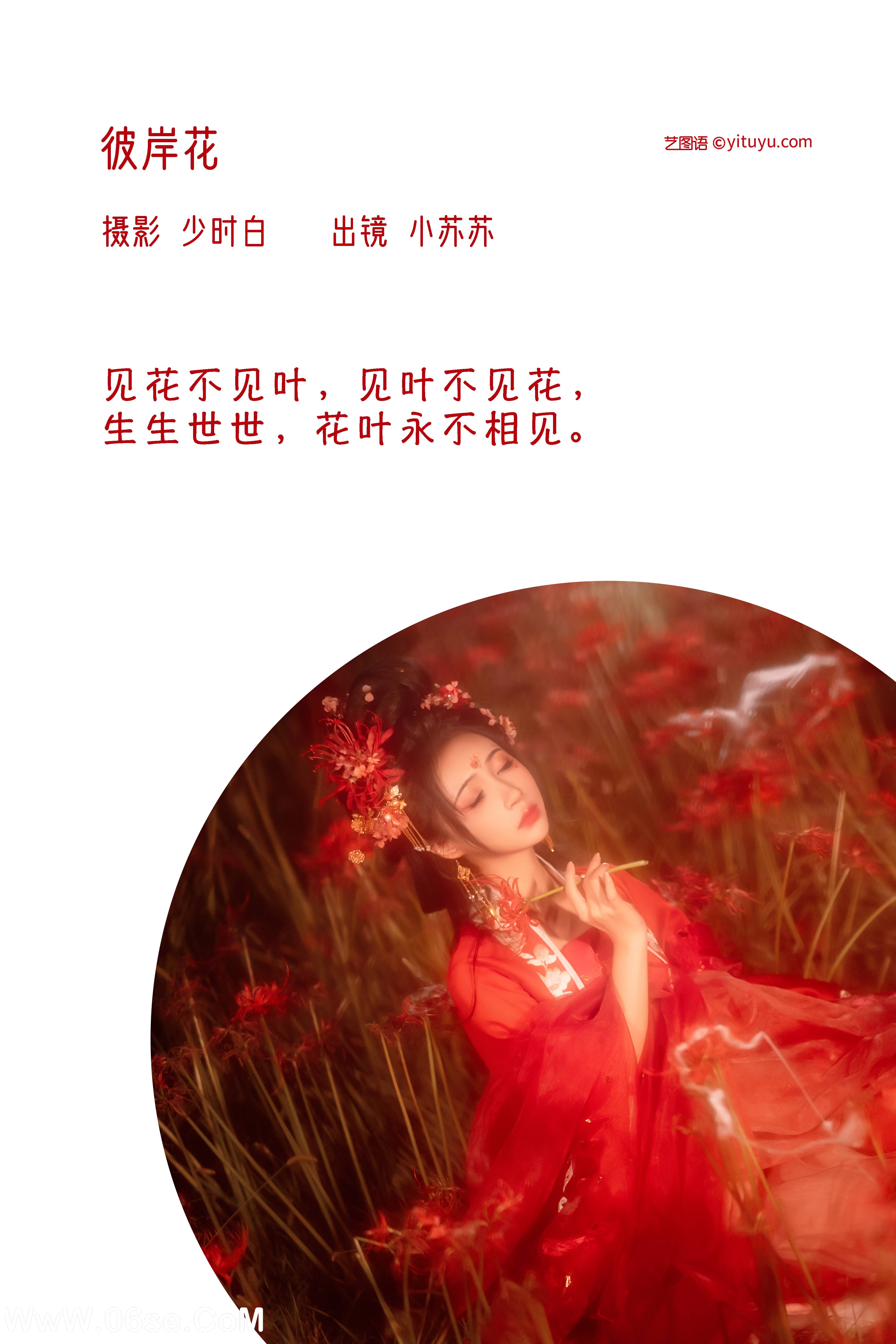图片[2]-[YITUYU艺图语]2022.12.07 彼岸花 -绮罗生的小苏苏-[31+1P／337MB]-六色网