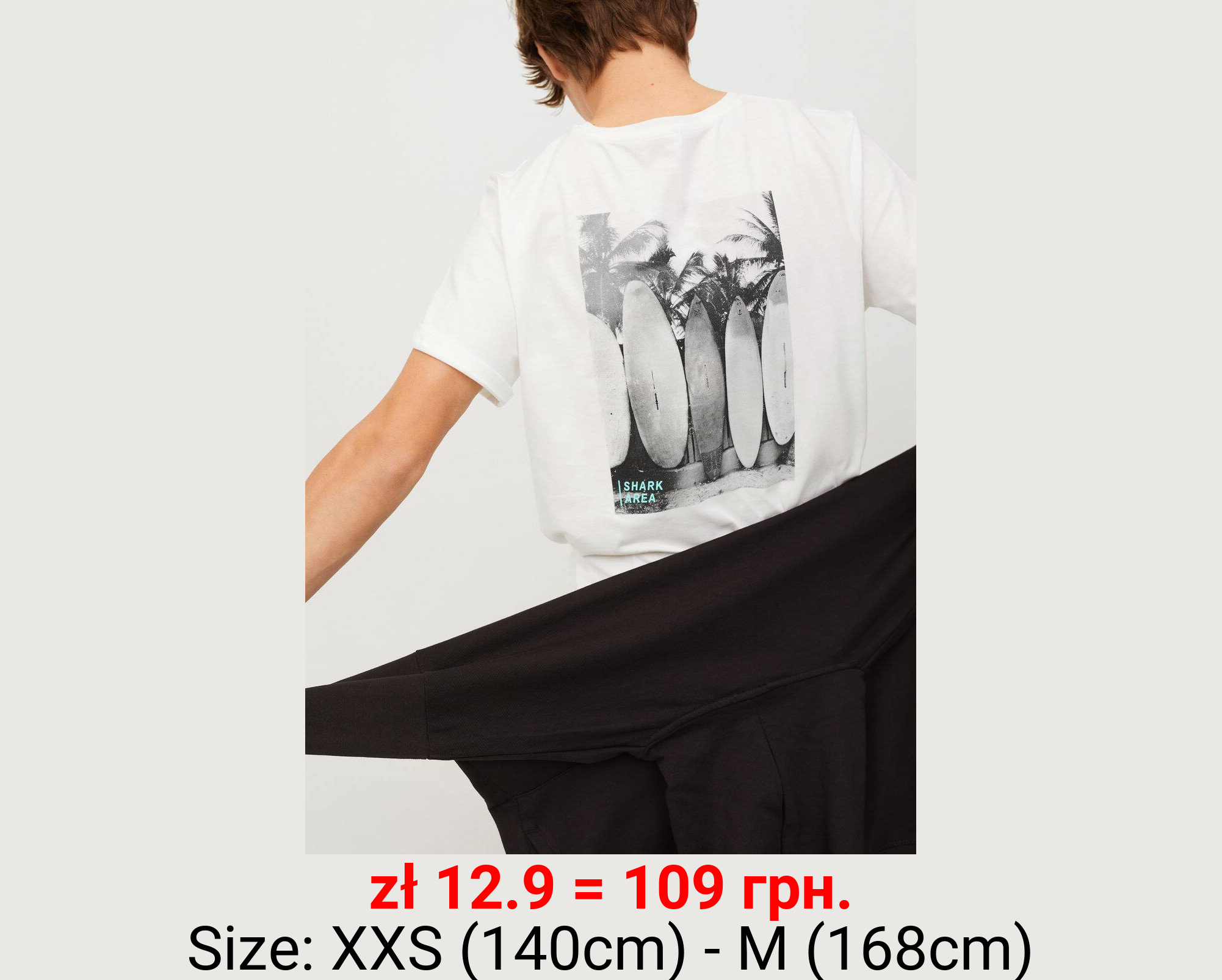 Camiseta algodón estampada