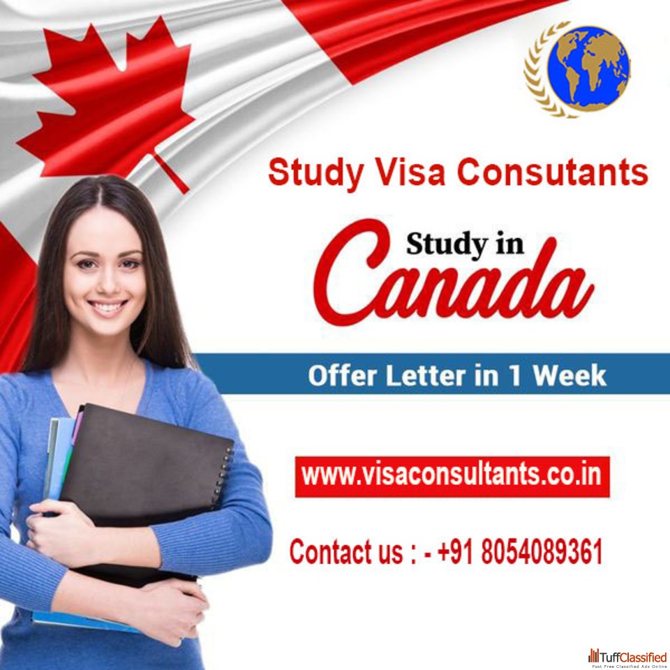 Best Study Abroad Consultants in Jalandhar Punjab +91-8054089361