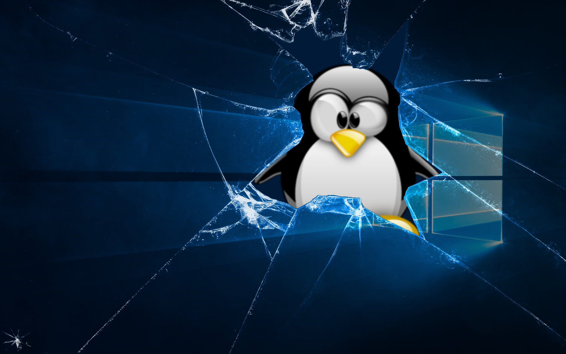 Windows linux download. Пингвин линукс. Операционная система линукс с пингвинчиком. Linux Операционная система Пингвин. Заставка линукс.