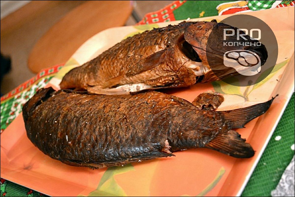 Копченый карп. Рыба горячего копчения сазан. Копчение рыбы карп в коптильне холодного копчения. Язь холодного копчения. Рыба карп горячего копчения.