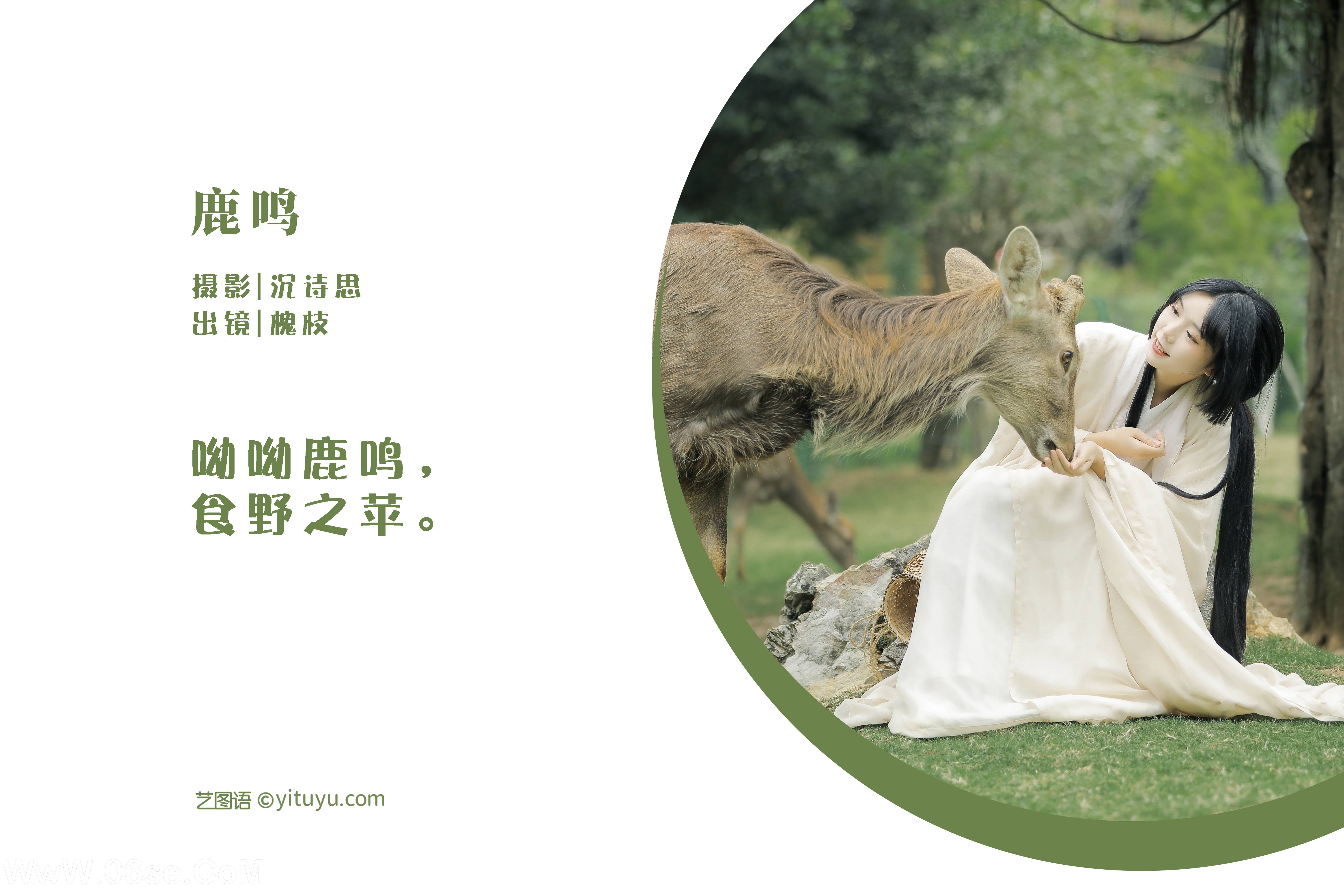 图片[2]-[YITUYU艺图语]2022.05.28 鹿鸣 槐枝-[27P-362.11MB]-六色网