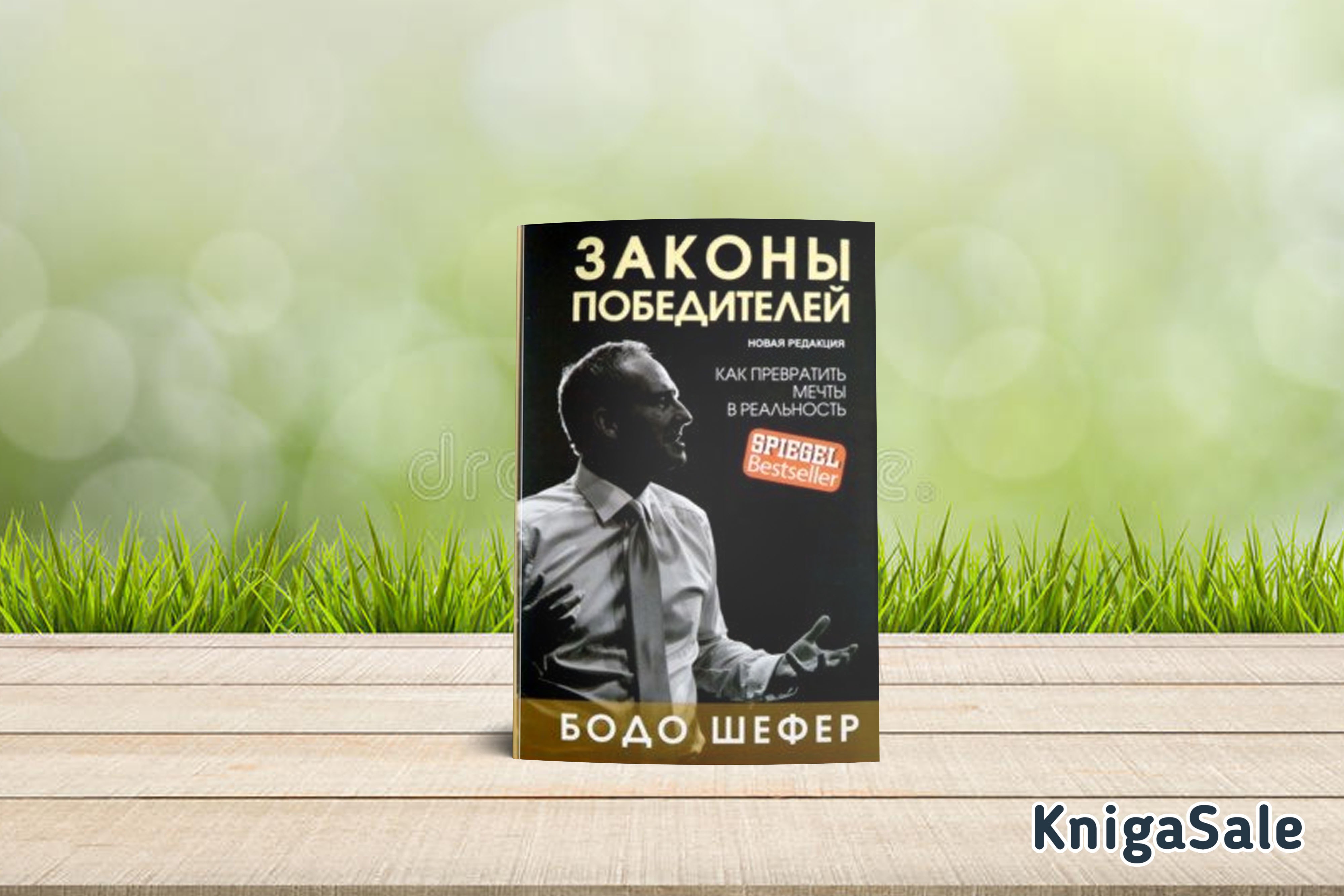 Шефер путь к свободе. Законы победителей. "Законы победителей"--Бодо Шефер изд Попурри. Законы победителей картинки. Законы победителей слив.