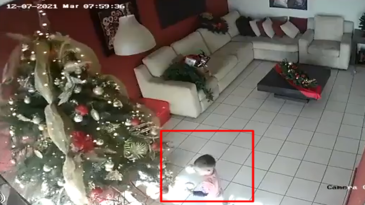 Niños pequeños vs árbol de Navidad