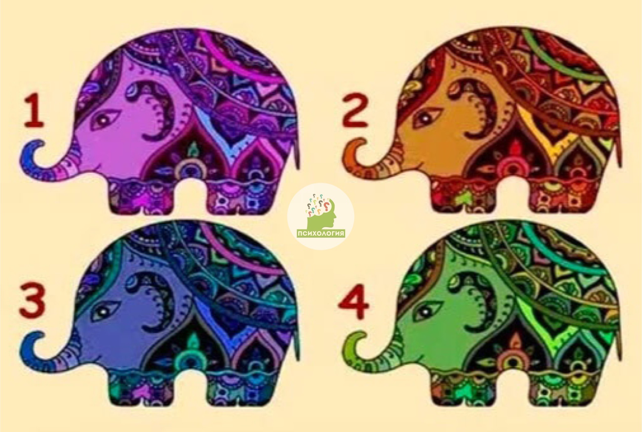 Выберите слона, который вам понравился. – Telegraph