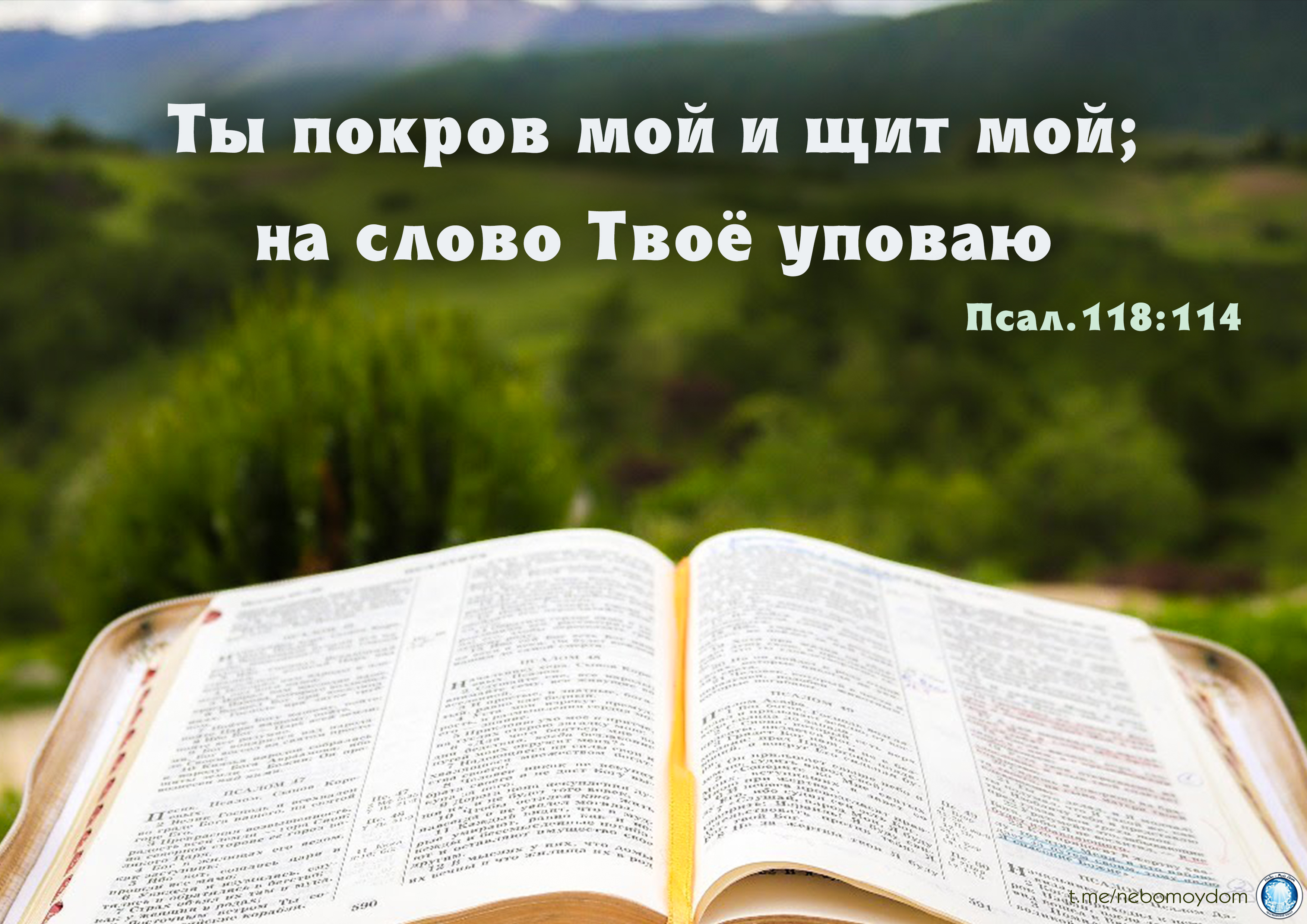 Твои слова текст. Слово твое светильник ноге моей и свет стезе моей. Слово Божье светильник ноге. Слово твое светильник ноге моей и свет стезе моей ПС 118 105. Слово твое светильник ноге моей.