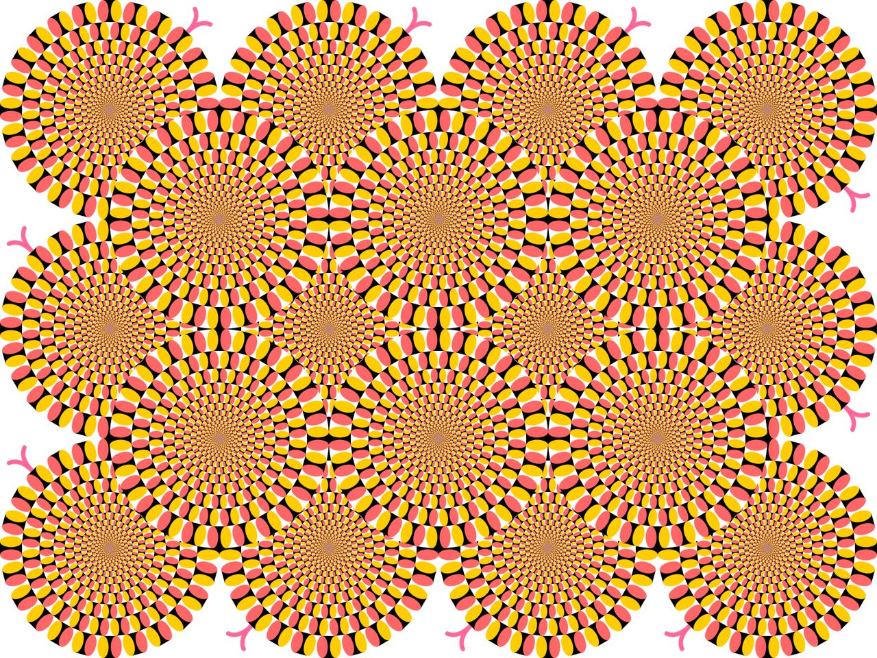 Оптическая иллюзия Акиоши Китаока