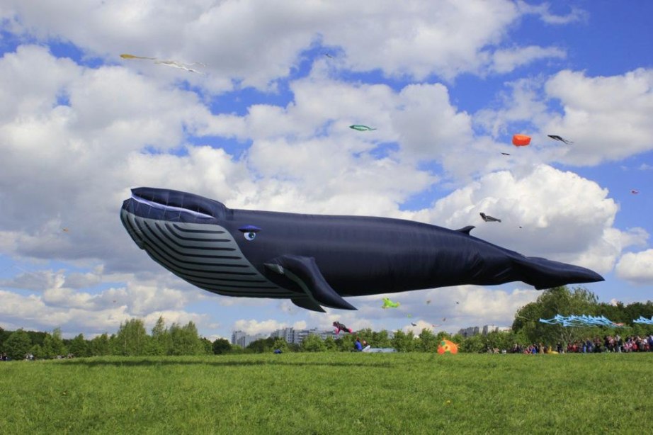 Фестиваль воздушных змеев и огромный кит (Хабаровск)