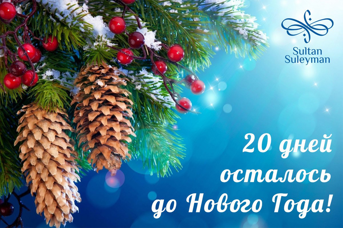 20 Дней До Нового Года