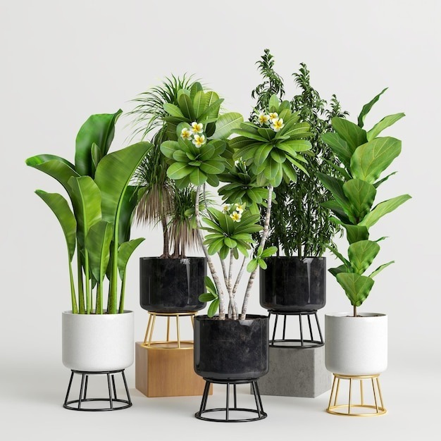 How Indoor Planters Melbourne Can Help You Grow Your Own Indoor Garden