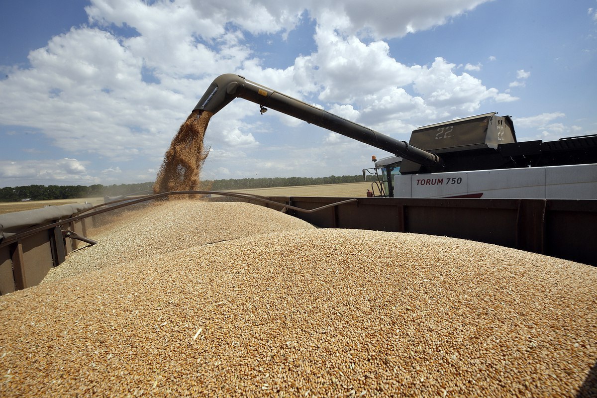В первом полугодии т.г. экспорт российской пшеницы сократился на 45%