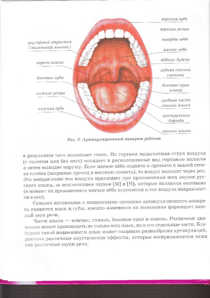 Граница твердого и мягкого неба. Где мягкое небо и твердое.