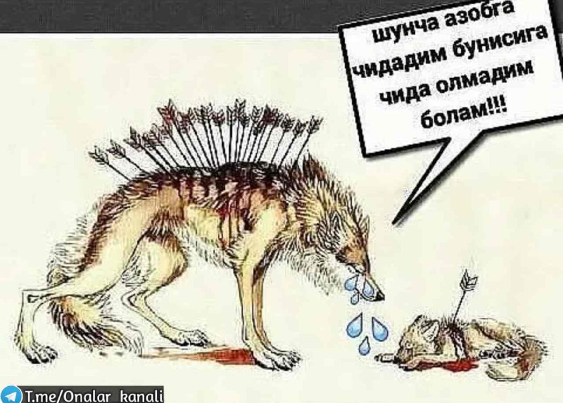 Бир Куни Бир Куни
