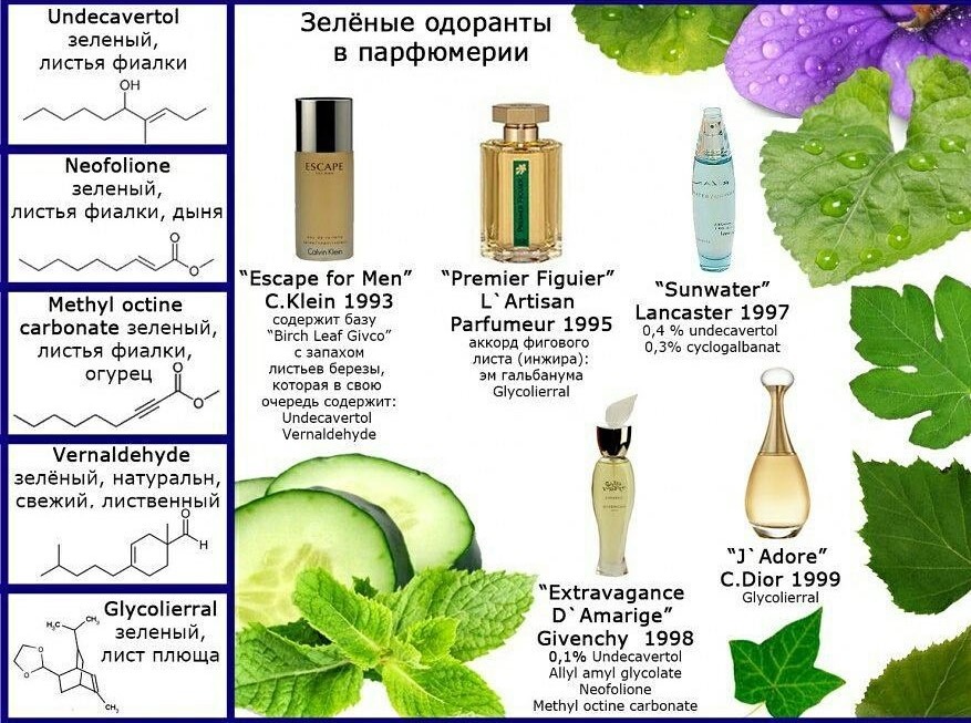 Запахи какого размеры. Лист фиалки в парфюмерии. Сложные эфиры духи. Химические формулы ароматов. Химия запахов.