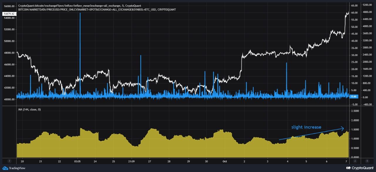 Крипта валюта падение. Инвестиции криптовалюта телеграмм. Инвестиции криптовалюты 2020. Pm stats сервис. How many people hold bitcoin.