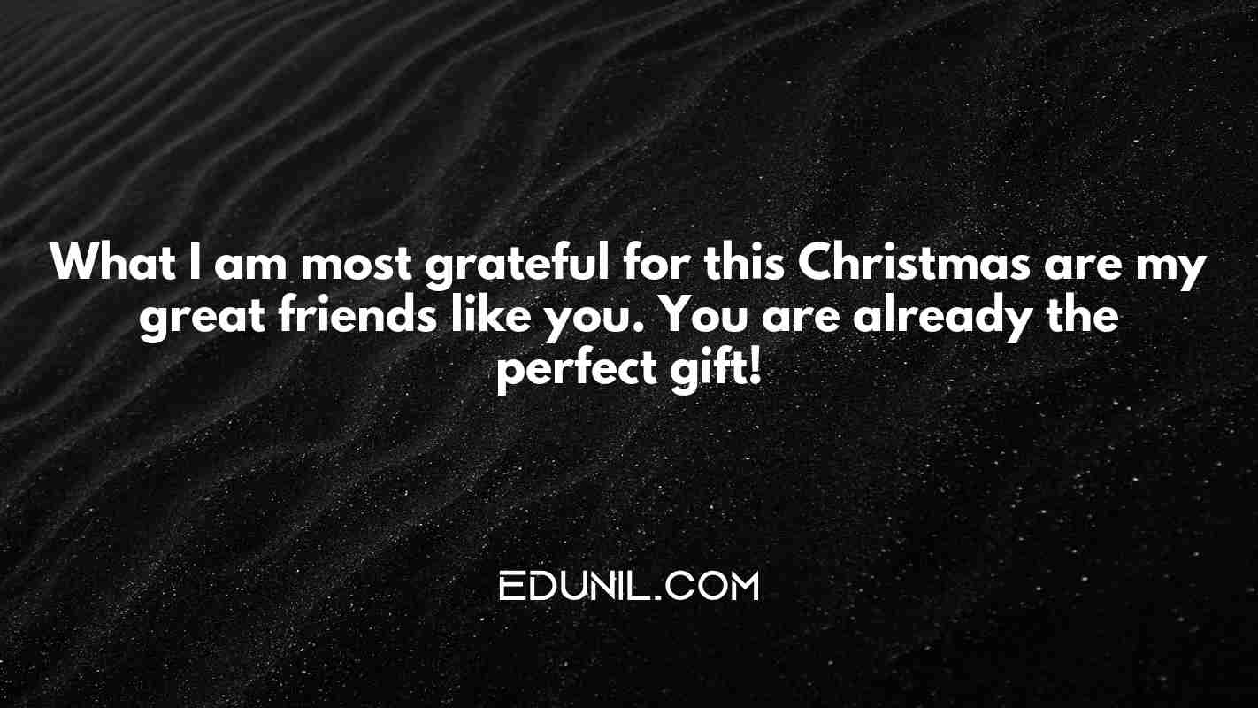 What I am most grateful for this Christmas are my great friends like you. You are already the perfect gift! - 
