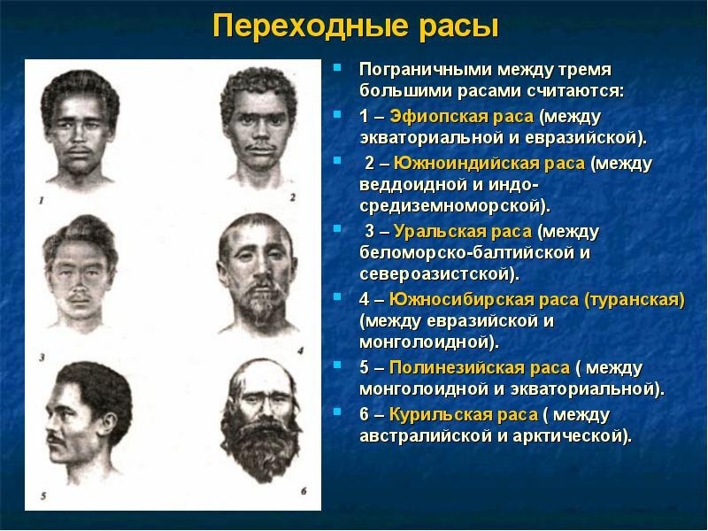 Все расы относятся к одному виду. Уральская европеоидная раса. Переходные расы. Антропологический Тип. Представители переходной расы.