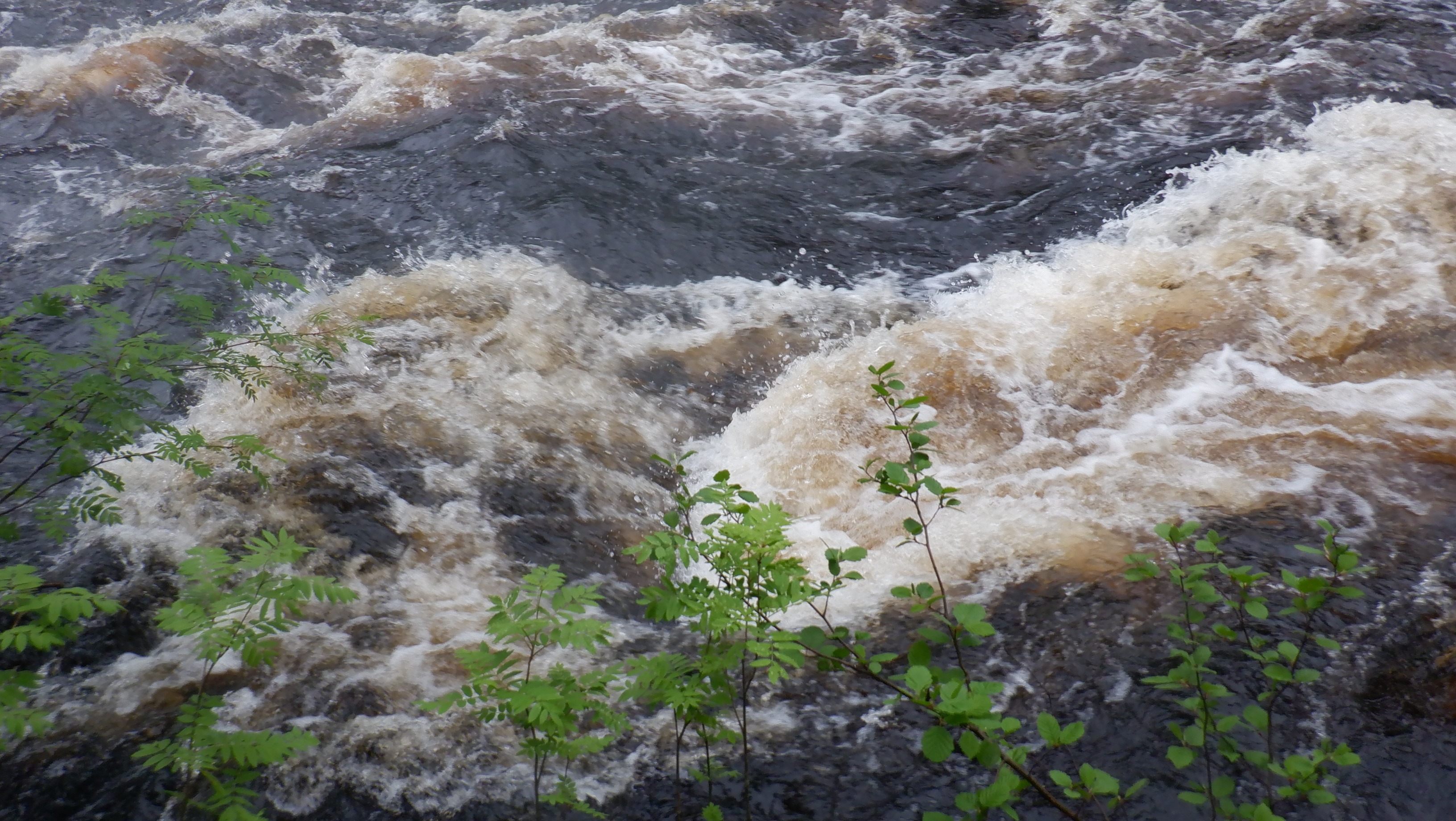 река Калга июнь 2022 – Telegraph