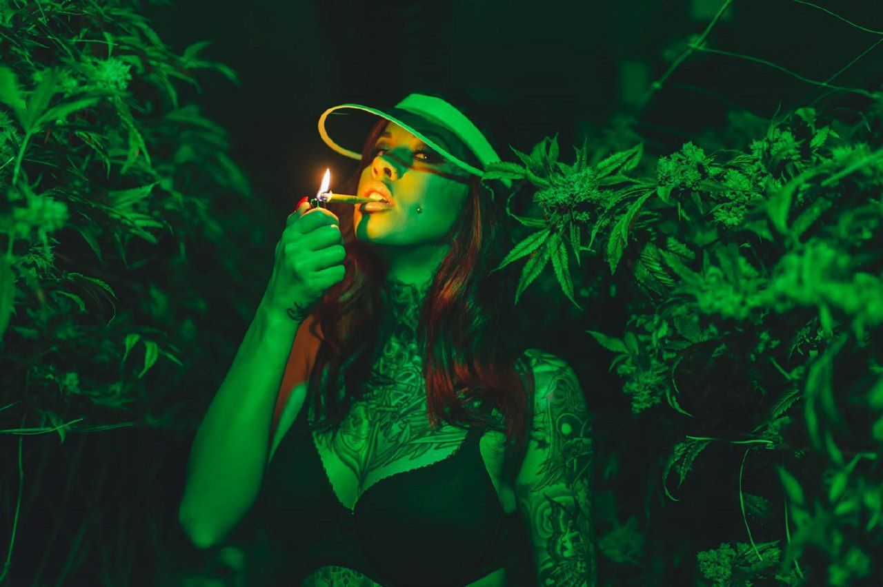 Фото девушки в марихуане конопля вред видео